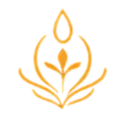 Ghiduri & White Papers Icon