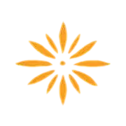 Sustenabilitate Icon